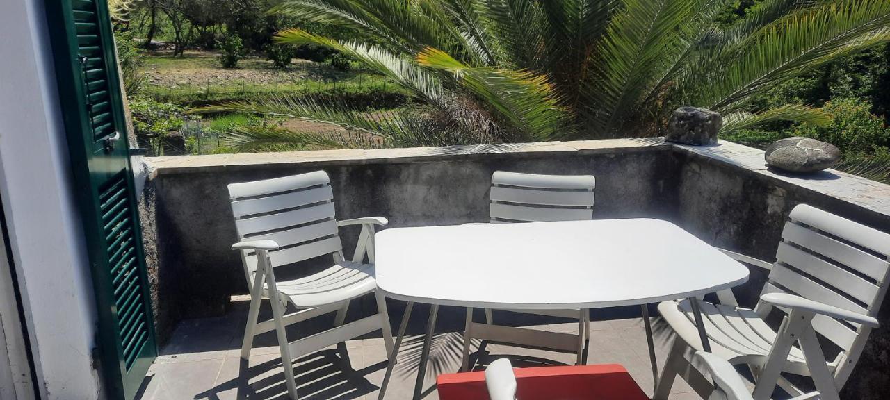 Vecchio Mulino Fontona Girasole Apartment Chiesanuova  Exterior photo